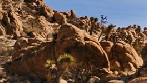 Las mejores camionetas todoterreno en 2023