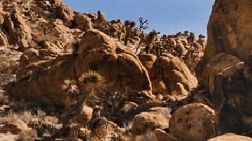 Las mejores camionetas todoterreno en 2023