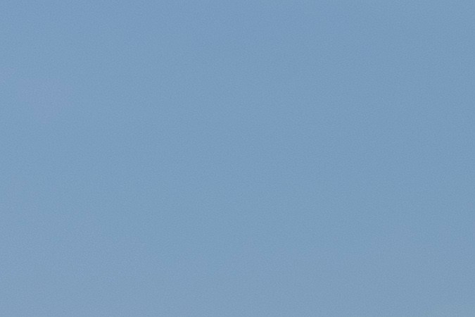 licencia de moto en florida