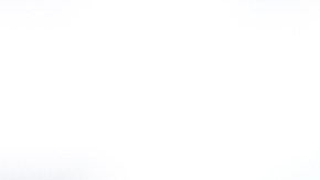 licencia de conducir digital