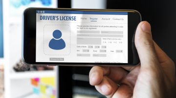 licencia de conducir digital