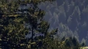 el suv más vendido en estados unidos 2023