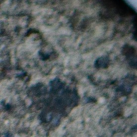 placa de carro en Florida