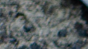 placa de carro en Florida