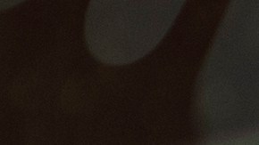 Volatilidad en la gasolina.