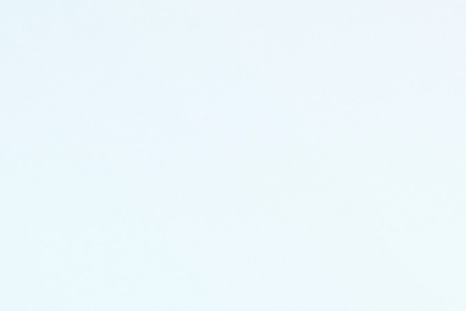 corralon de autos texas