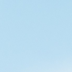 licencia de moto en florida