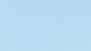 licencia de moto en florida