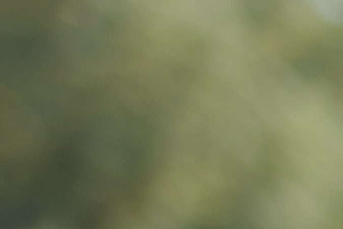 licencia de moto en ny