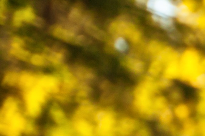 licencia de moto en california