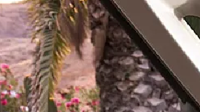 Volkswagen muestra primeras imágenes de la nueva autocaravana California