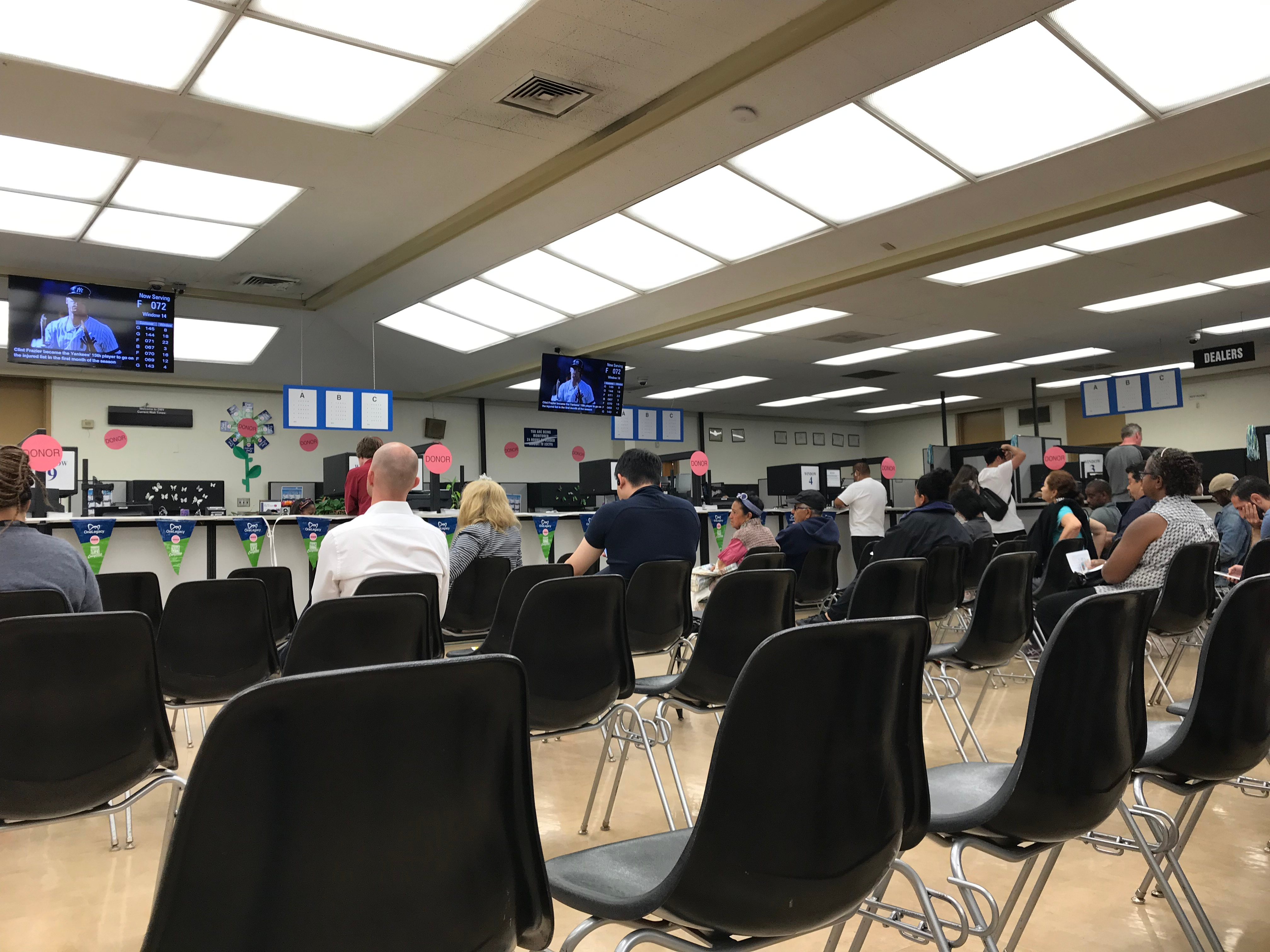 hillsborough county dmv cita