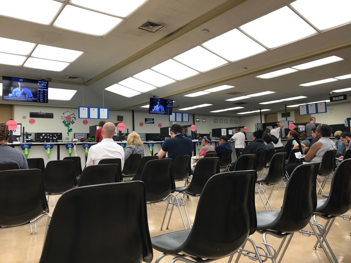 DMV Hillsborough Tampa citas y trámites para la licencia de conducir Siempre Auto