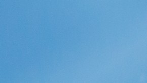 operacion luz verde florida 2023