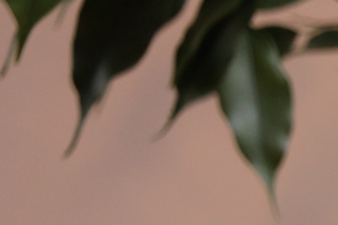 Cómo comprar un carro en Estados Unidos a un concesionario