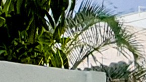 advertencia de la patrulla de camino en florida