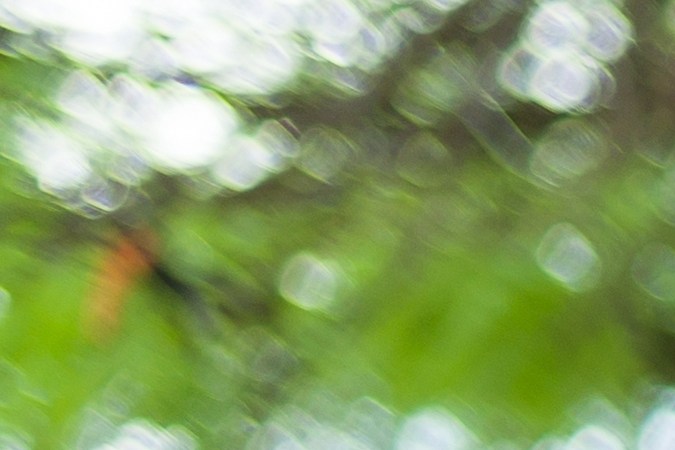 conducir sin licencia en California