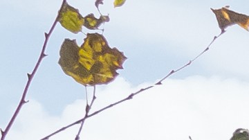 Trucos para ganar más como conductor de Amazon Flex