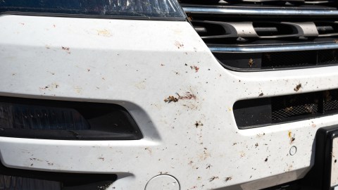 Cómo quitar los bichos incrustados sin arruinar la pintura del carro