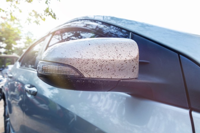 Cómo quitar los bichos incrustados sin arruinar la pintura del carro