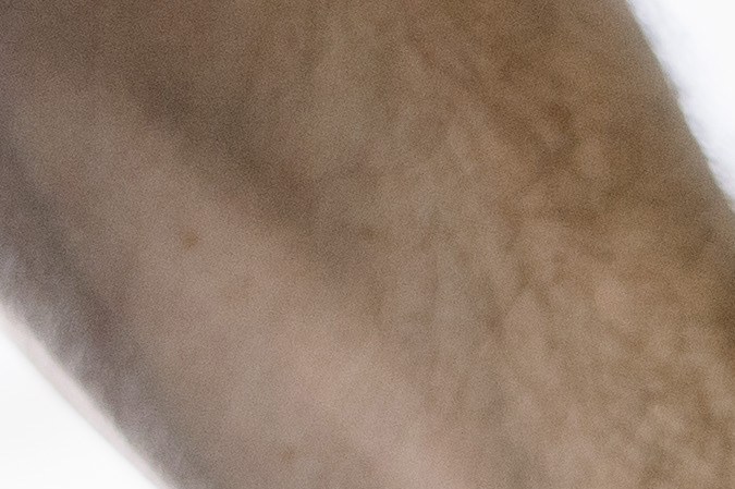 dibujo de neumaticos