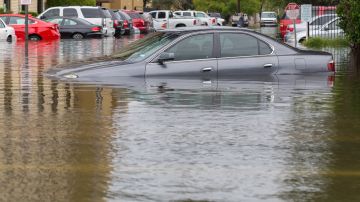 Pólizas de seguro cubren daños a los autos por huracanes