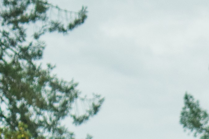 Cuánto cuesta la multa por pasarse con la luz en rojo en USA