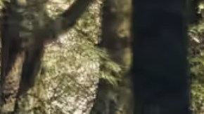 toyota-rav4 2024 precio