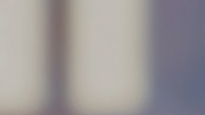 DMV NY sitio web licencia no conductor