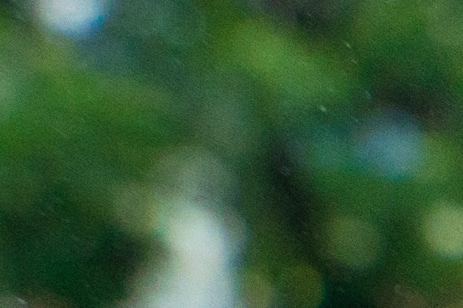 ganar dinero con Uber y Lyft