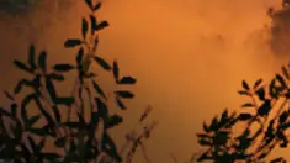 El nuevo videojuego de rally muestra mucho más realismo con EA Sports WRC