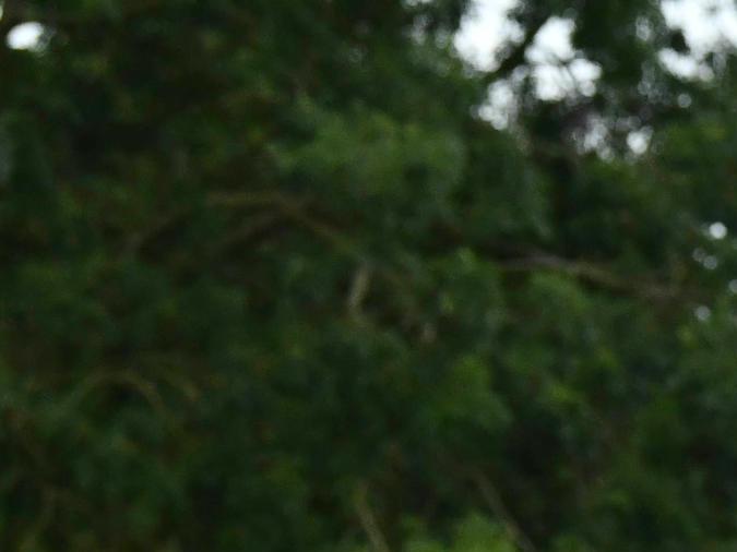 Aston Martin DBS Volante 2011.