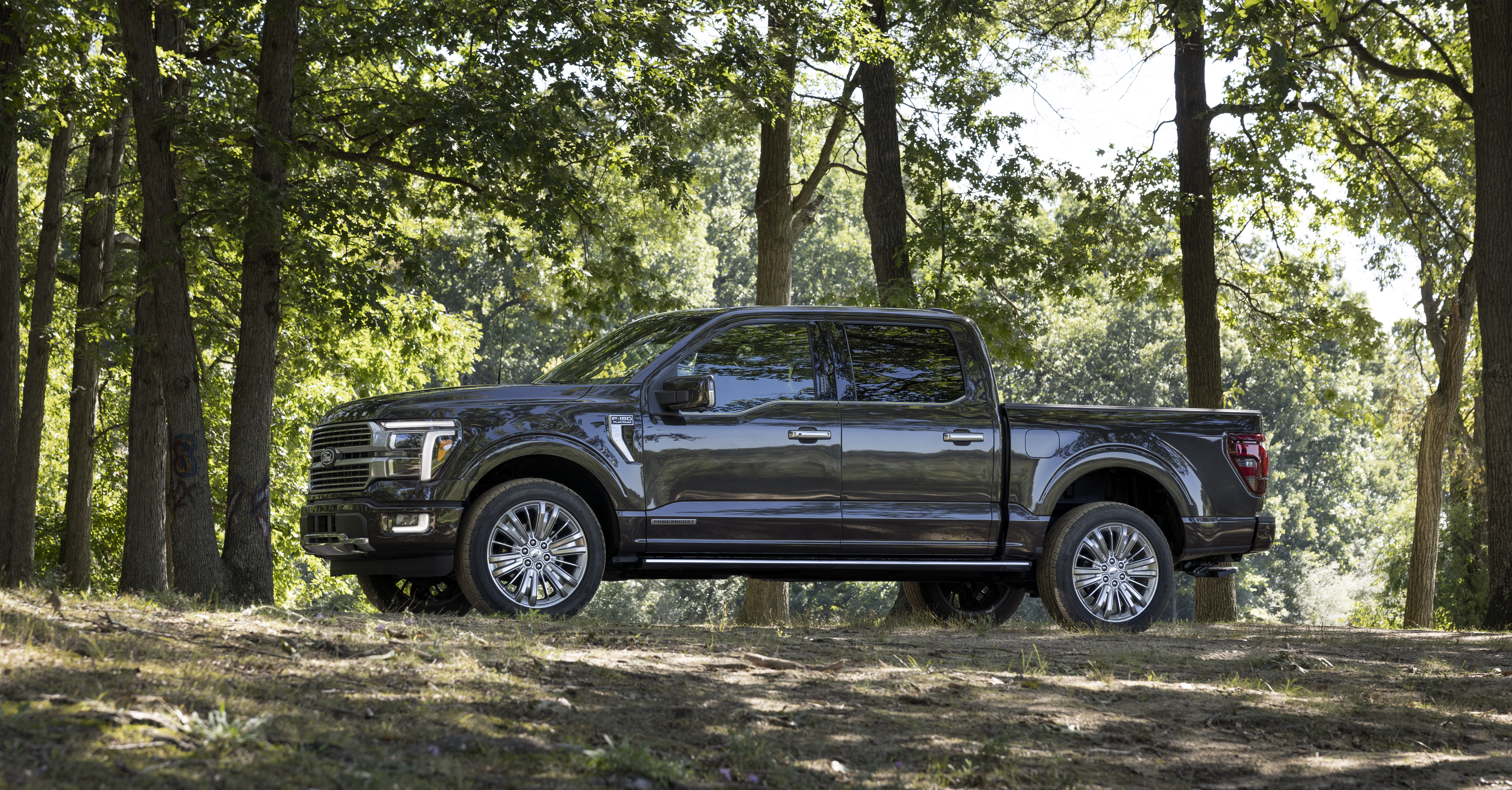 Ford F-150 2024.