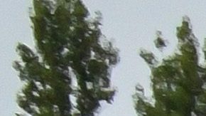 Aston Martin Orange Collection