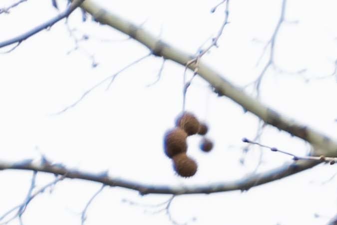 que pasa si compro un carro sin titulo