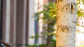 Mini Countryman 2024 EV llega a Norteamérica