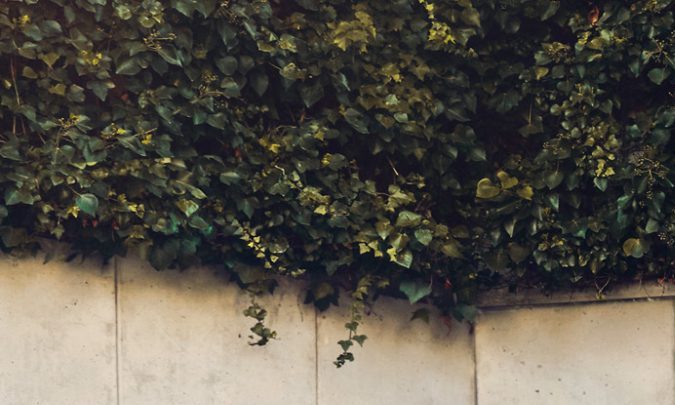 carros electricos toyota