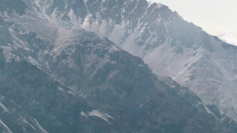 YangWang U8.