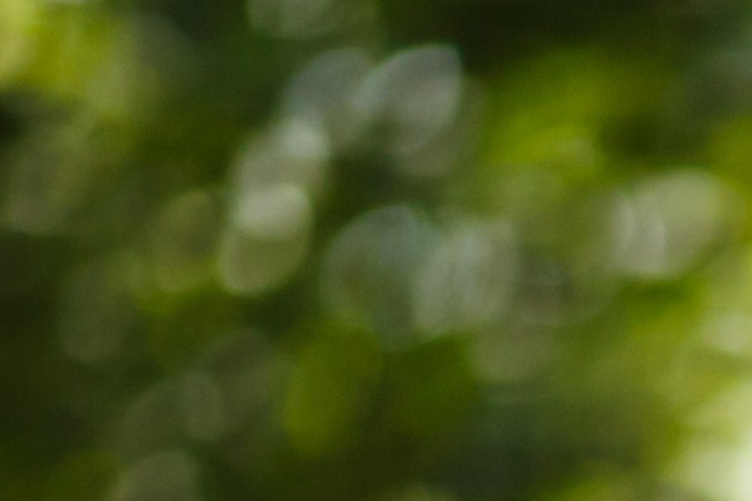 seguros de autos baratos