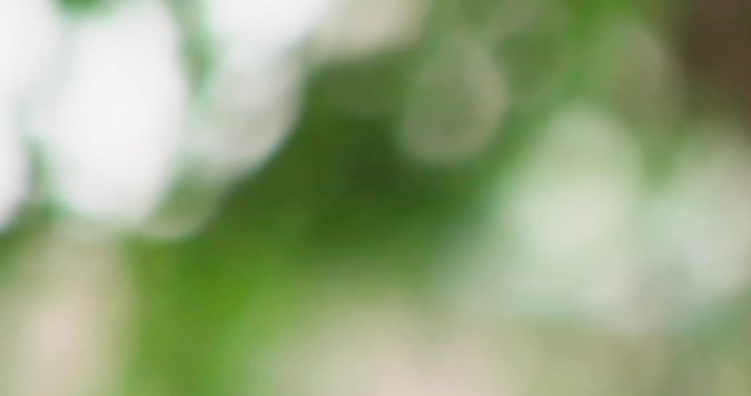 seguros de autos para hispanos cerca de mi