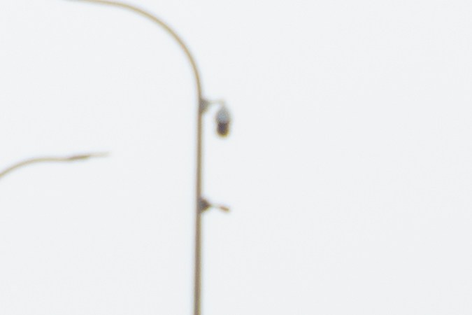 precio de multas en texas