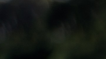 carroceria y pintura