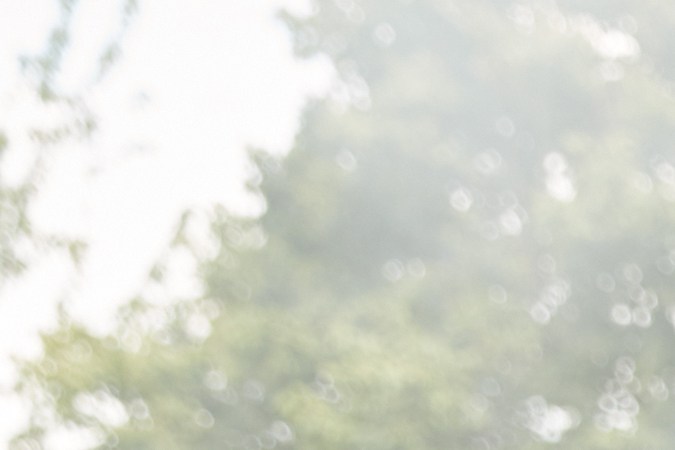 fraude de seguro de carros