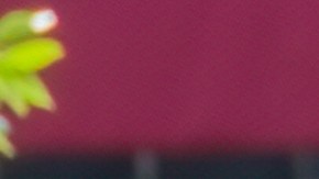 Cómo pagar ticket de tráfico en Houston