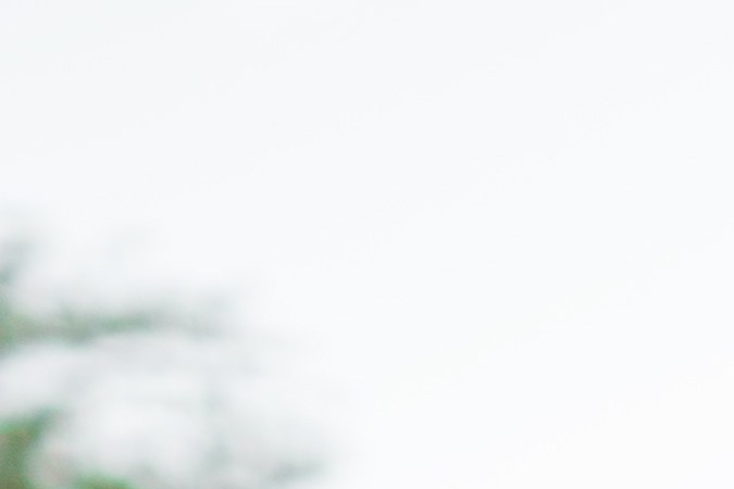 carros usados en usa