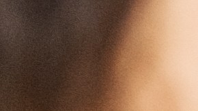 checar multa en texas