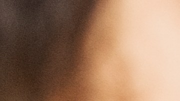 checar multa en texas