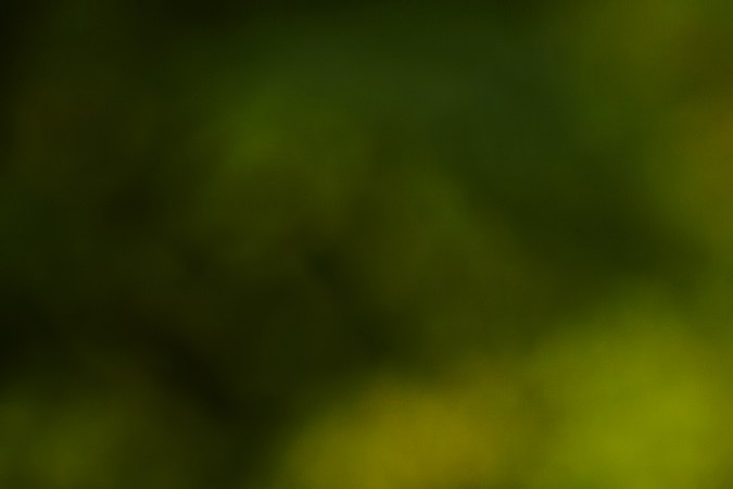 examen de manejo en illinois