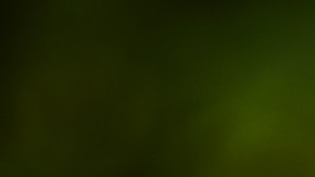 examen de manejo en illinois