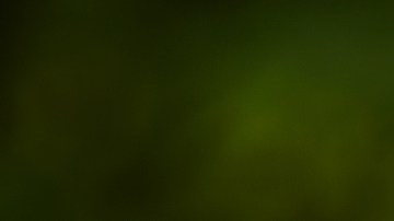 examen de manejo en illinois